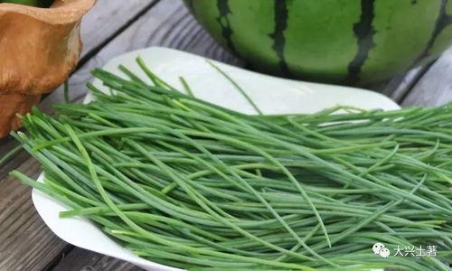 近期热门吃瓜网红,揭秘近期热门吃瓜网红背后的故事 第2张 近期热门吃瓜网红,揭秘近期热门吃瓜网红背后的故事 第2张